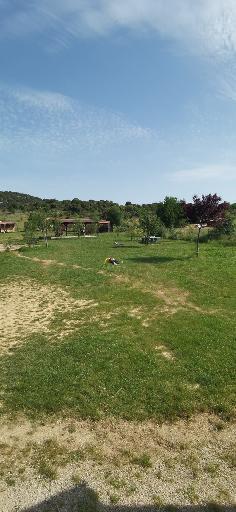 réveil difficile après une nuit agitée